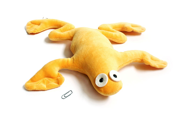 golden toad